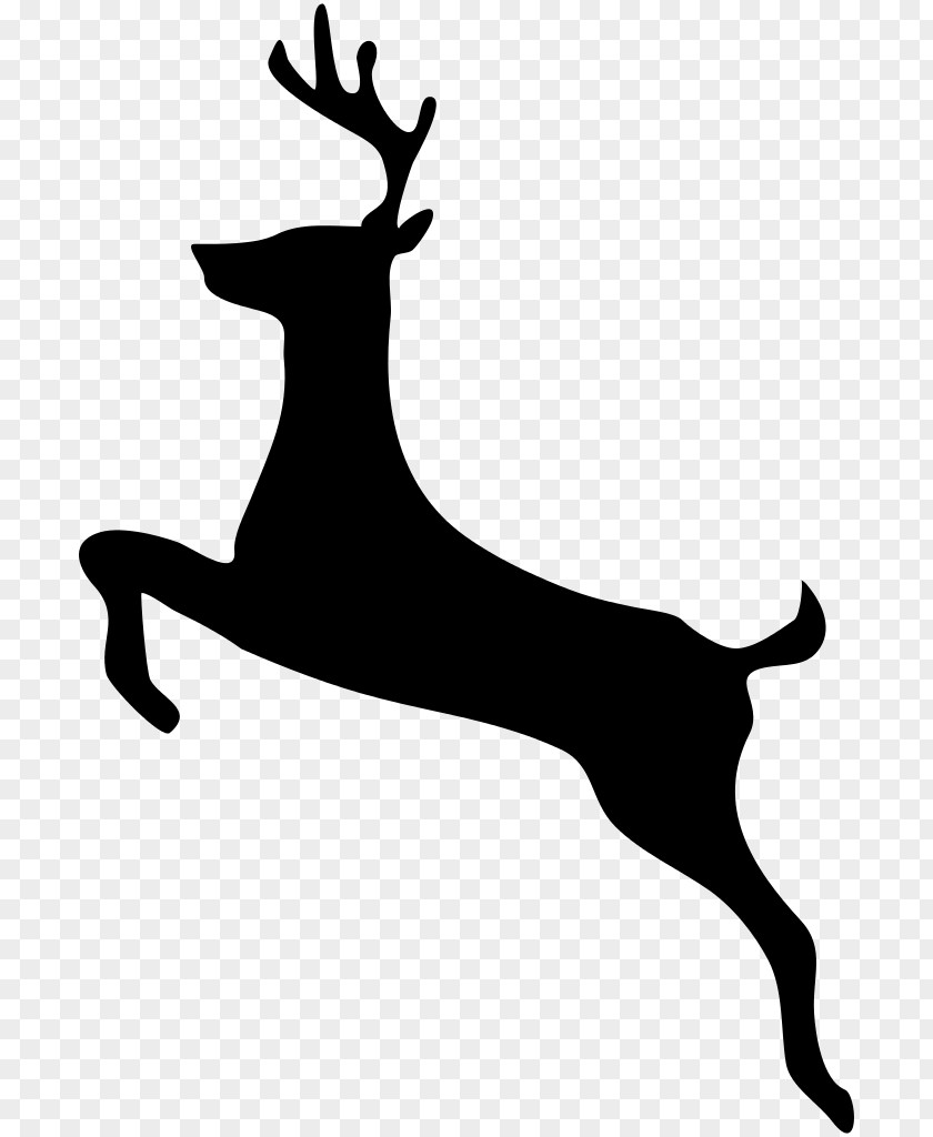 Deer Vector White-tailed Moose Clip Art PNG