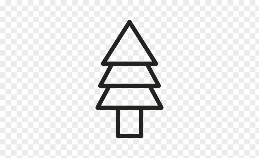 Design Vector Tree Eastern White Pine Spruce PNG
