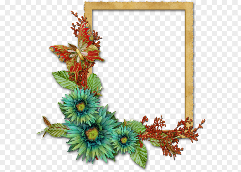 Flower Picture Frames Floral Design Photography PNG