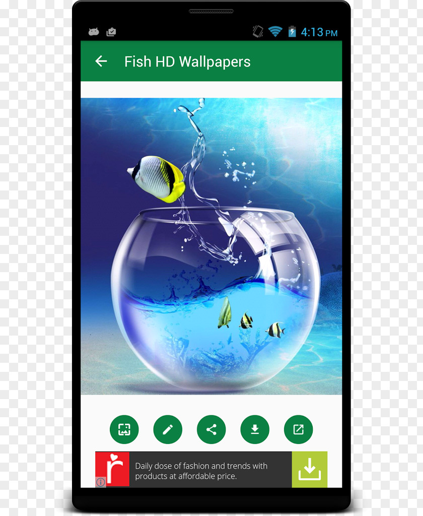 Group Fish Desktop Wallpaper Smartphone Play Android PNG