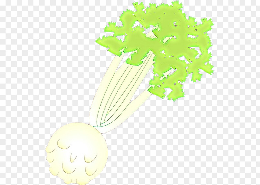 Leaf Vegetable Plant Green Background PNG