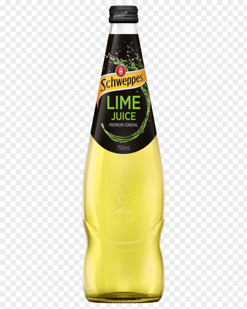 Lime Juice Liqueur Squash Cordial Lemon, And Bitters Fizzy Drinks PNG