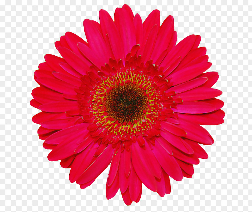 Artificial Flower PNG