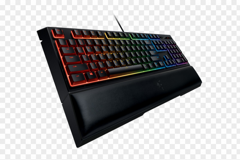 Computer Keyboard Razer Ornata Chroma BlackWidow Destiny 2 Inc. PNG