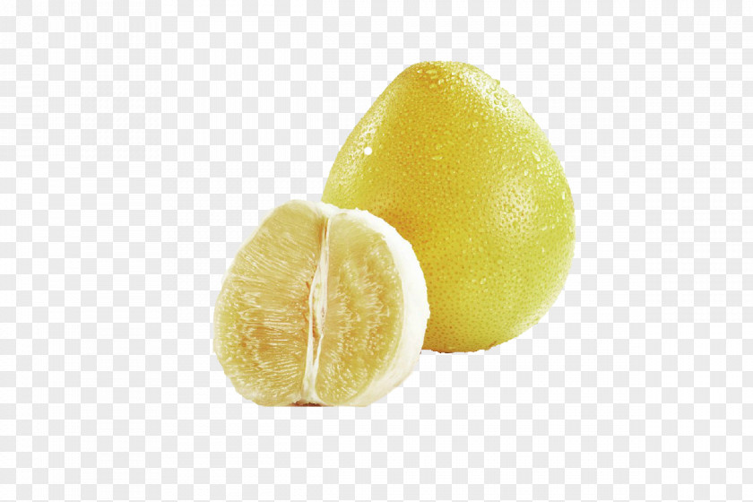 Fresh Grapefruit Lemon Citron Citrus Junos Lime Peel PNG