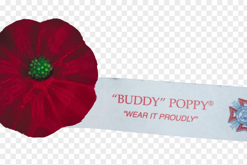 Tanabata Festival Creative Love Poppy Veterans Of Foreign Wars Organization Flower PNG