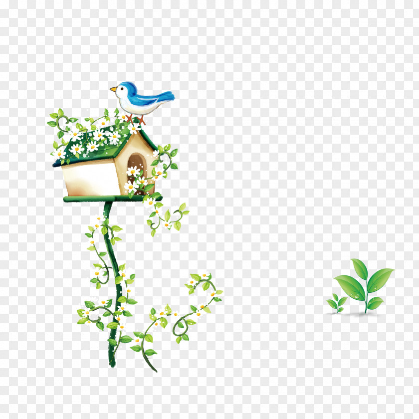 Bird's Nest Bird PNG