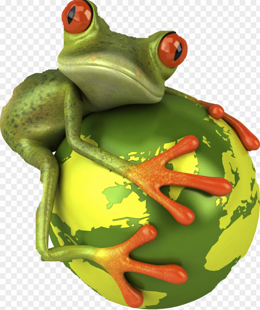 Frog Royalty-free Wallpaper PNG