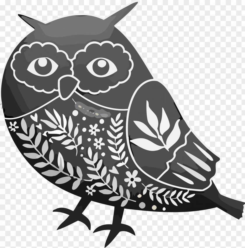 Owl Bird Eastern Screech Of Prey PNG