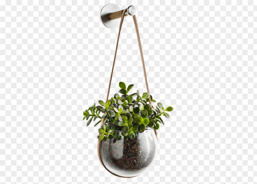 Pot Plant Holmegaard Flowerpot Cachepot Glass Light PNG