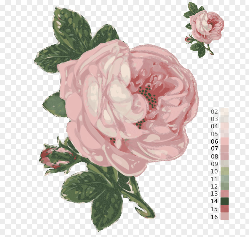 Rose Passion For Roses Zazzle Garden Flower PNG