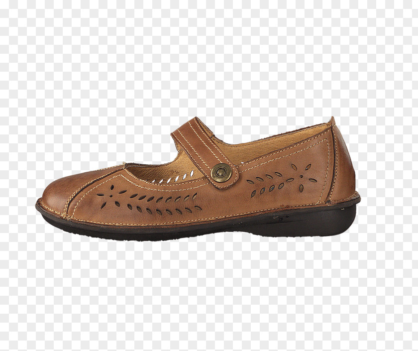 Sandal Slipper Slip-on Shoe Footwear PNG
