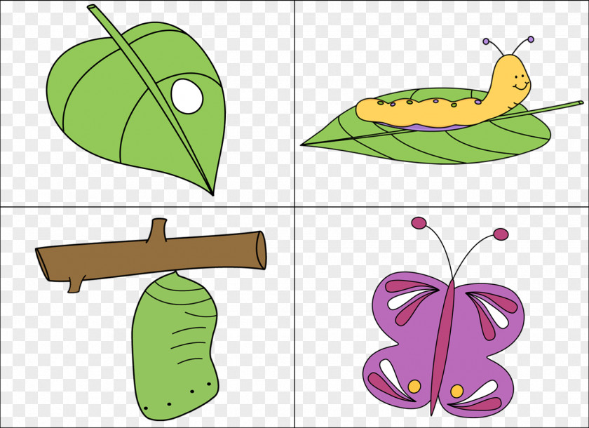 Simple Life Cliparts Butterfly Biological Cycle Caterpillar Clip Art PNG