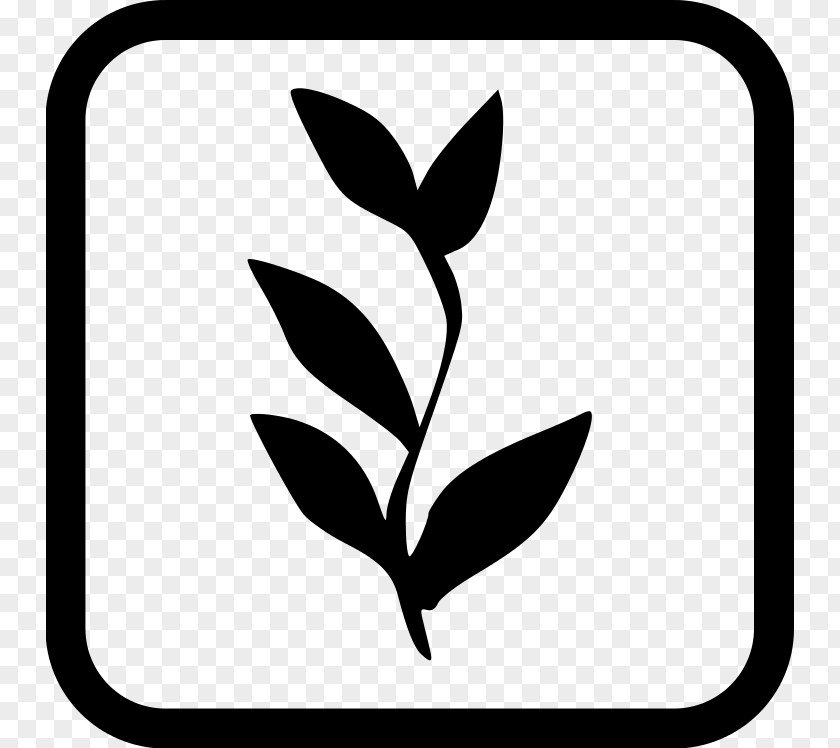 M Dietary Supplement Clip Art Plants Plant Stem Black & White PNG