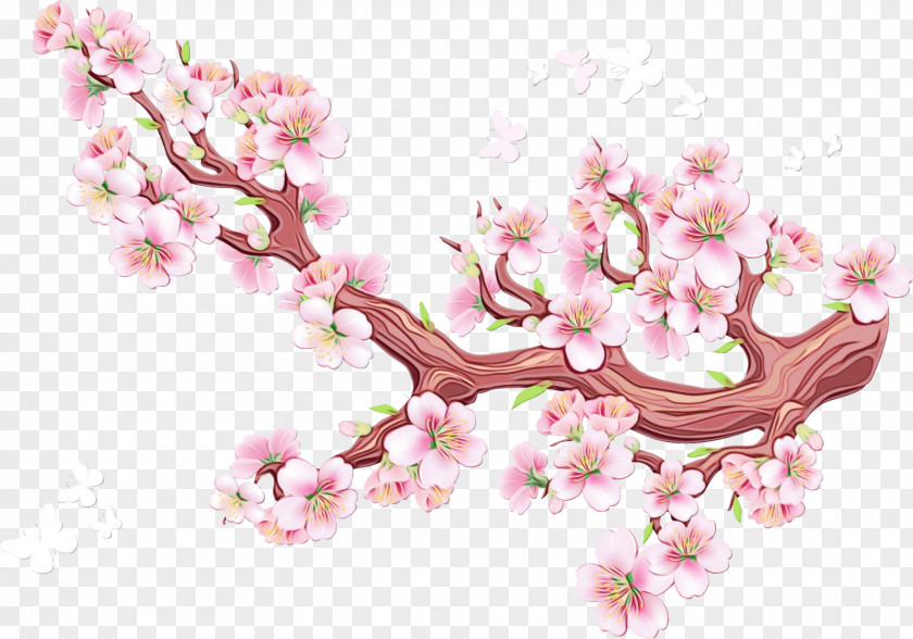 Perennial Plant Tree Sakura PNG