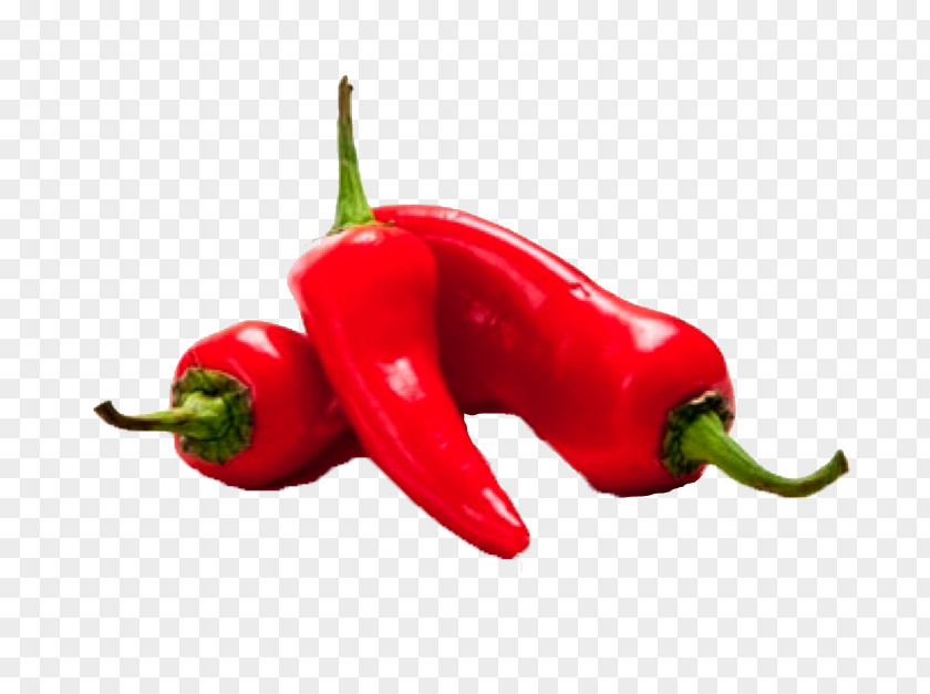 Plant Vegetable Chili Pepper Pimiento Tabasco Bell Peppers And Malagueta PNG