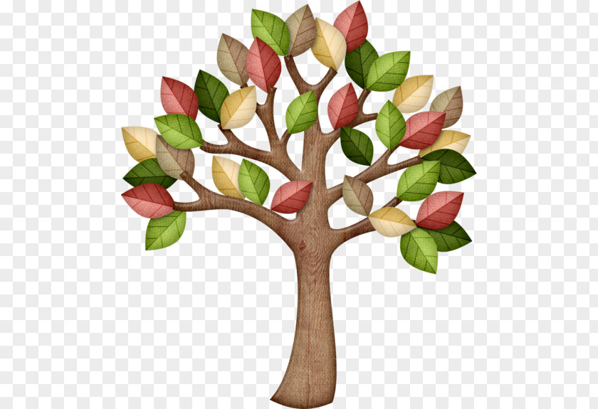 Tree Drawing Clip Art PNG