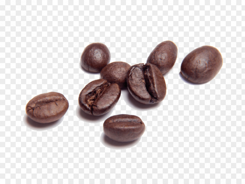 Coffee Chocolate-covered Bean Single-origin PNG