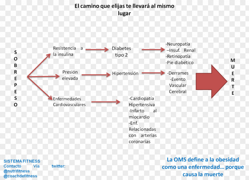 Fitness Coach Document Product Design Line Angle Brand PNG