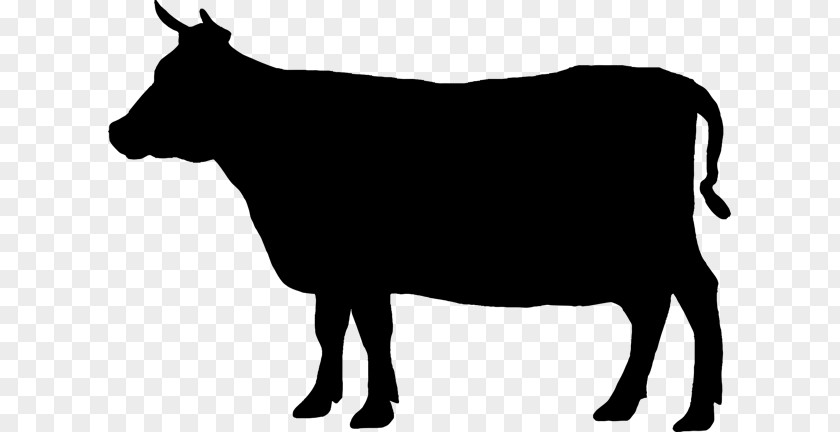 Grazing Cows Angus Cattle Welsh Black Beef Jersey Clip Art PNG