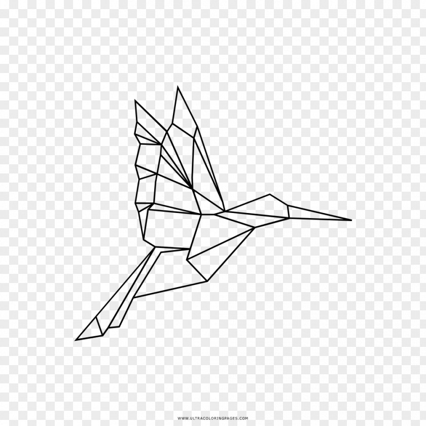 Kolibri Hummingbird Drawing Coloring Book Ausmalbild Paper PNG