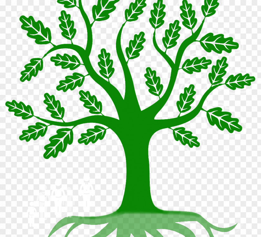 Leaf Branch Green Root Clip Art PNG