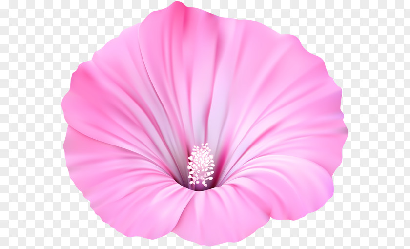 Pink Flower Flowers Violet Purple Clip Art PNG