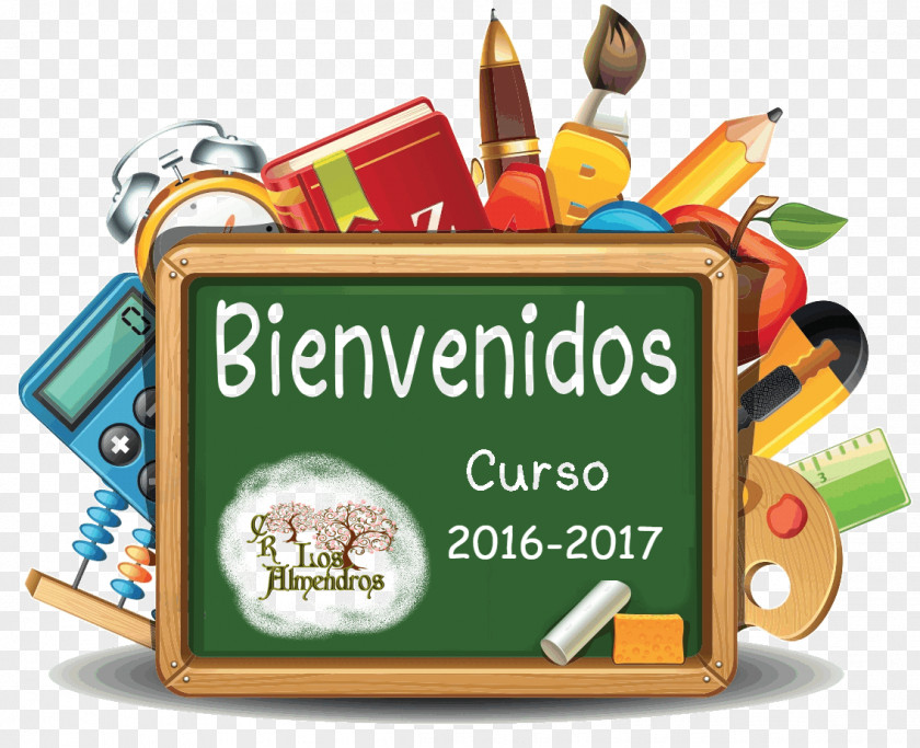 School Education Colegio San Luis De Alba Course Student PNG