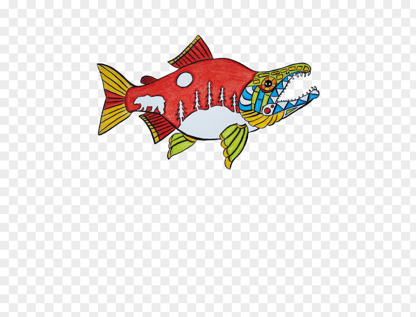 Sockeye Salmon Background Illustration Clip Art Line Fish RED.M PNG
