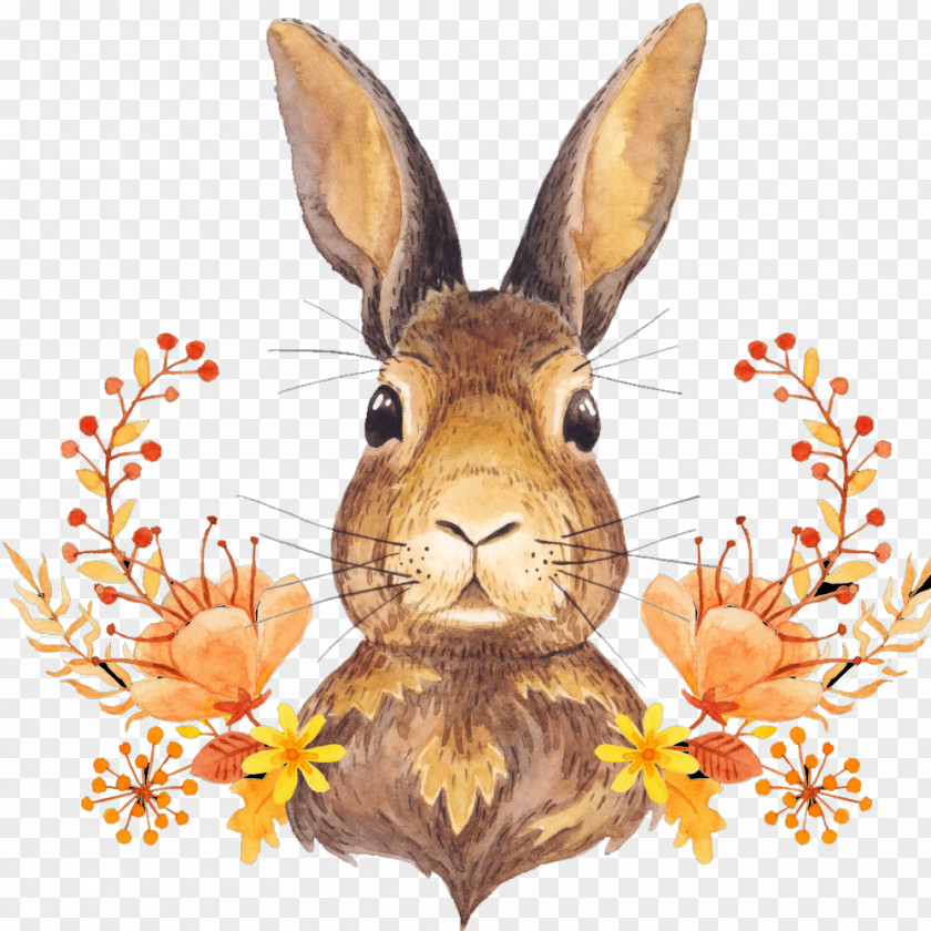 Cute Bunny Autumn Leaf Color Harvest Thanksgiving PNG