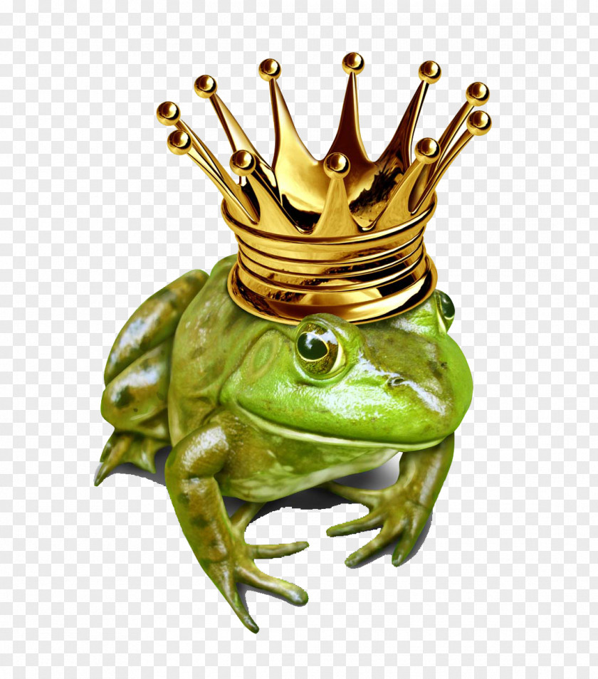 Frog The Prince Royalty-free Illustration PNG