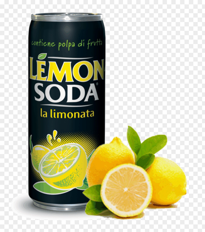 Lemon Lemonsoda Fizzy Drinks Lemon-lime Drink Mixer PNG