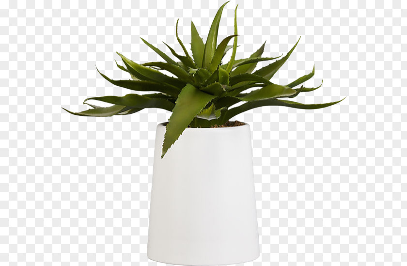 Aloe Vera Houseplant Succulent Plant Flowerpot Artificial Flower PNG