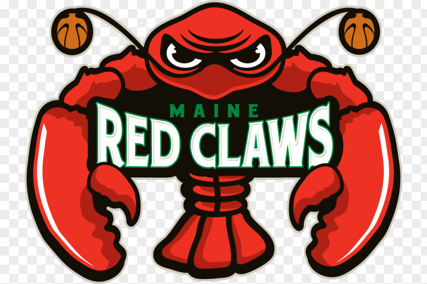 Basketball Maine Red Claws NBA Development League Boston Celtics Canton Charge PNG