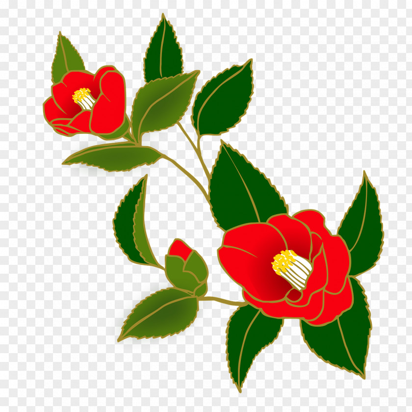 Camellia Japanese Garden Roses Clip Art PNG