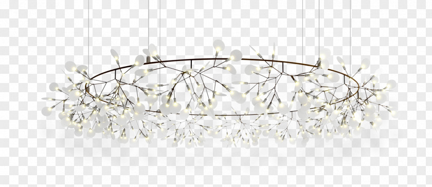 Light Pendant Moooi Lighting PNG