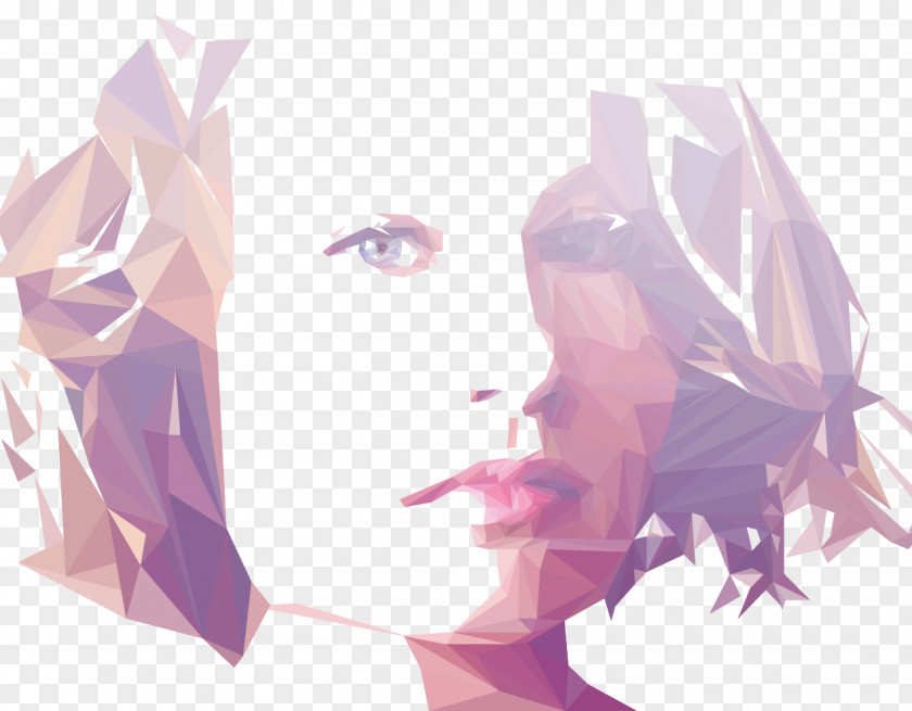 Low Poly Graphic Designer PNG