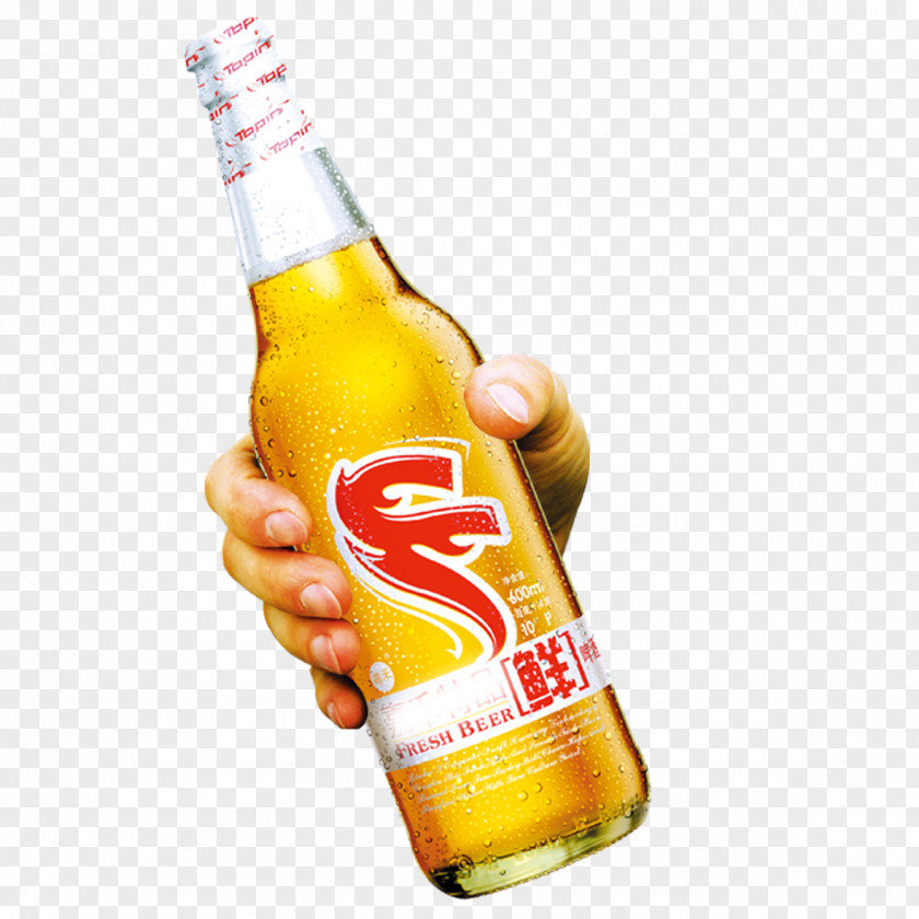 Man Finger Beer Bottle Poster Tsingtao Brewery PNG