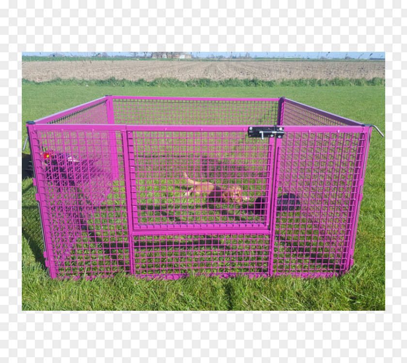 Puppy Cage Play Pens Horse Color PNG