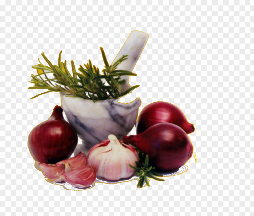 Restauration Cranberry Superfood Still Life Photography PNG