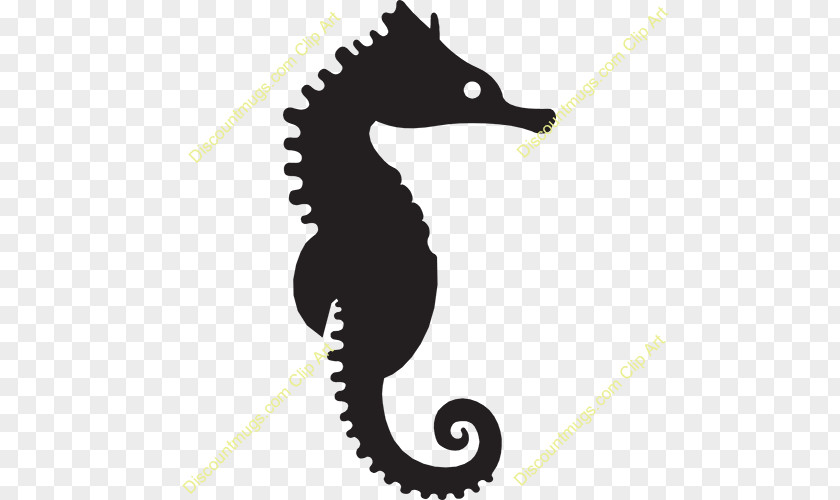 Seahorse New Holland Silhouette Clip Art PNG