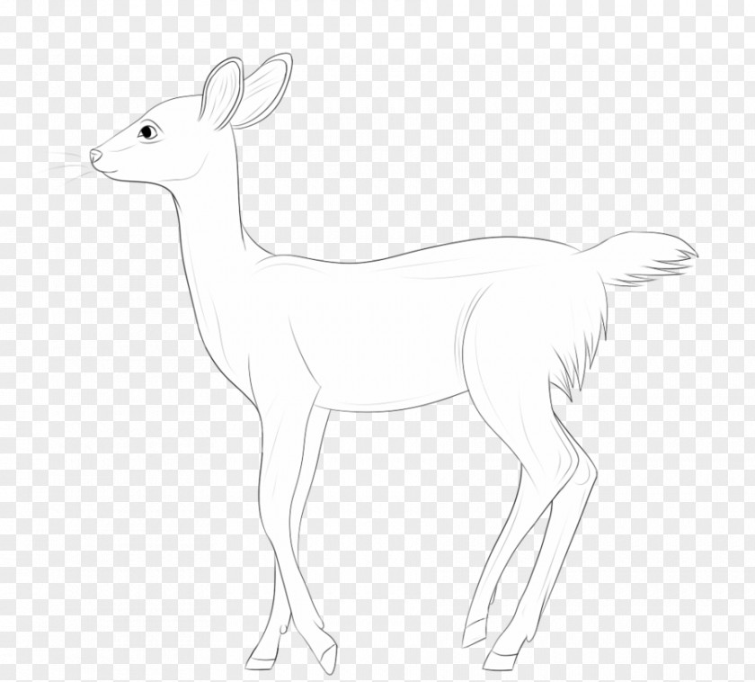 Deer Antelope Hare Line Art Fauna PNG