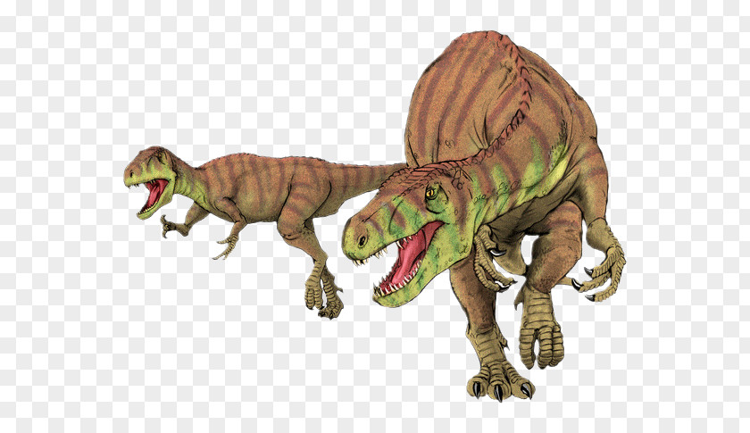 Dinosaur Afrovenator Torvosaurus Eustreptospondylus Megalosaurus Jobaria PNG