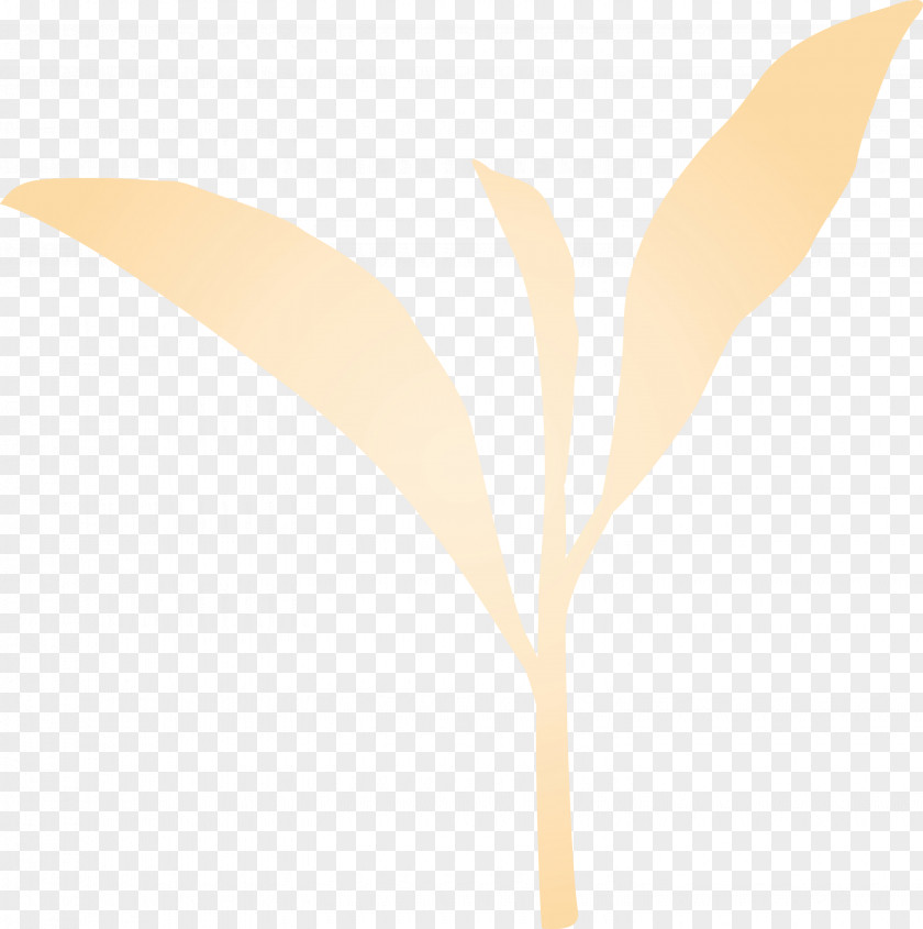 Leaf Plant Flower Tree Twig PNG