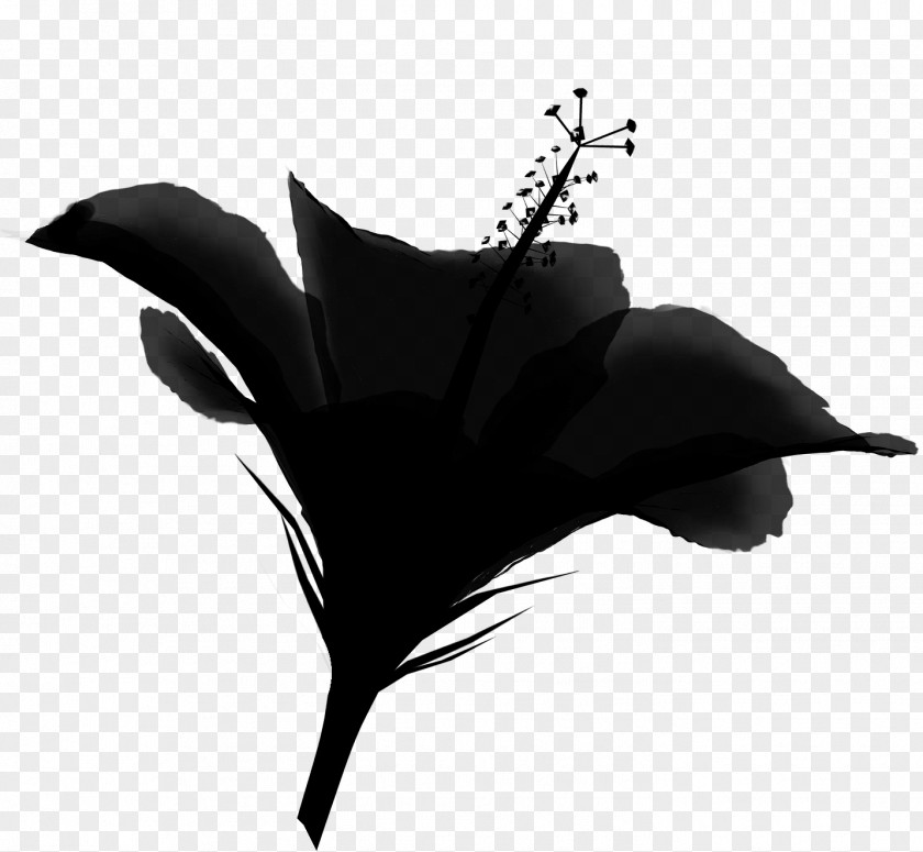 Leaf Silhouette Flower PNG