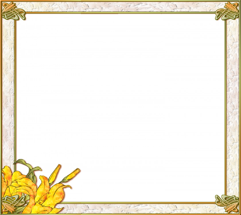 Lily Flower Frame Floral PNG