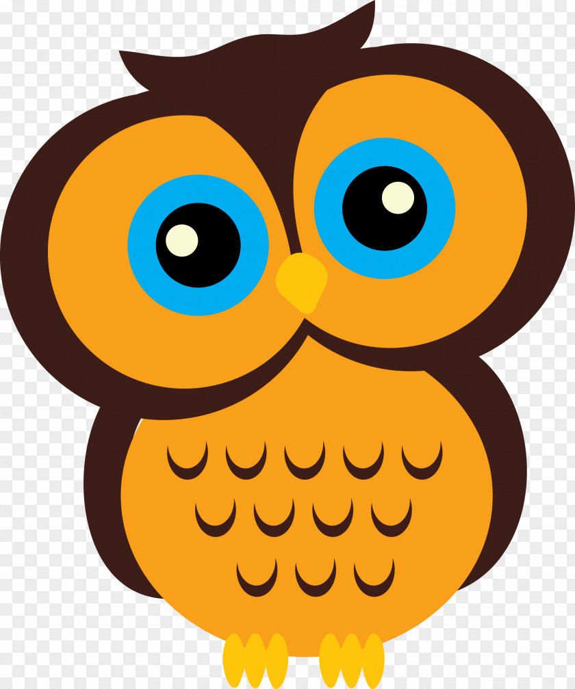 Owl Drawing Cartoon Bird Image PNG