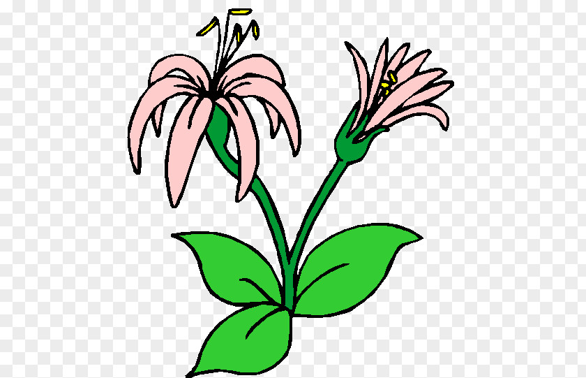 Trik Floral Design Cut Flowers Plant Stem Leaf Herbaceous PNG