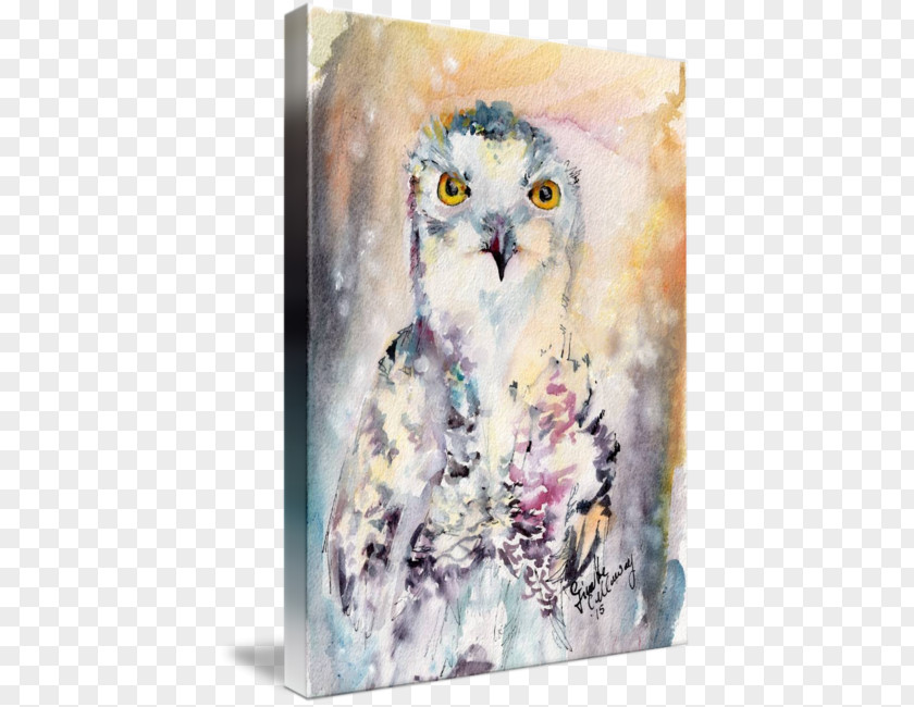 Watercolor Snow Owl Painting Acrylic Paint PNG