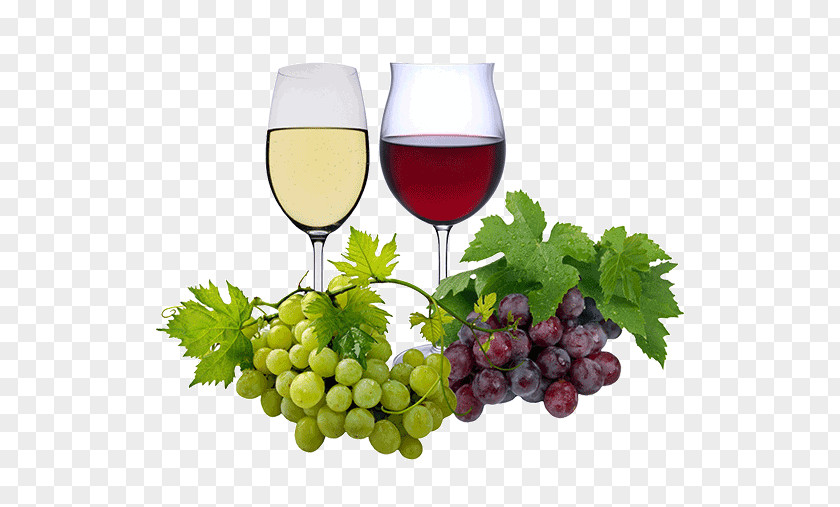 Wein Red Wine White Rosé Merlot PNG